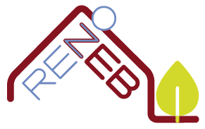 RENOZEB logo
